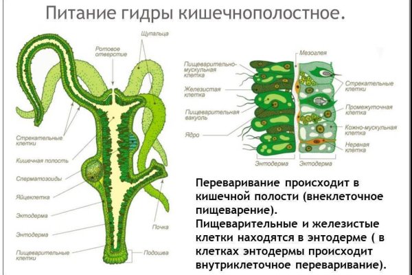 Кракен сс